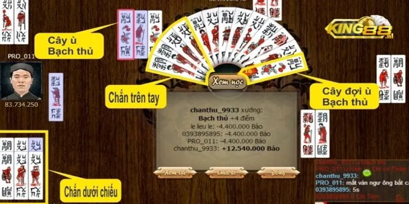 Luật ù bài chắn - Hướng dẫn chi tiết cho tân binh 2 tong-hop-day-du-luat-choi-bai-chan